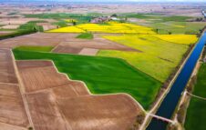 Risò 2025, Vercelli capitale del riso tra cultura, paesaggio e identità agricola