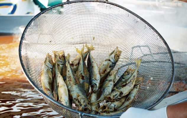 Sagra del Pesce di Camogli 2025 a Sordevolo