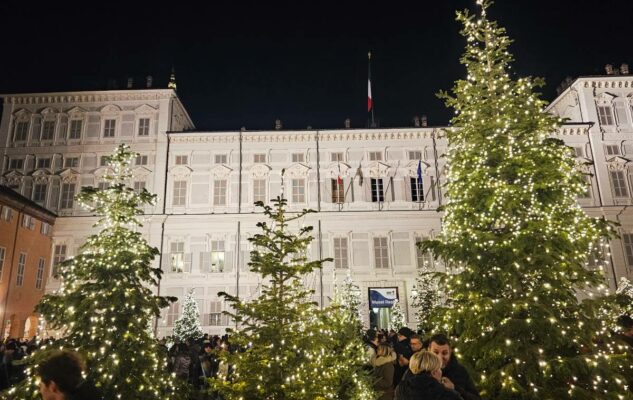 L’Albero di Natale 2025 di Torino: ritorna il boschetto di abeti luminosi