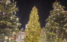 L’Albero di Natale 2025 di Torino: ritorna il boschetto di abeti luminosi