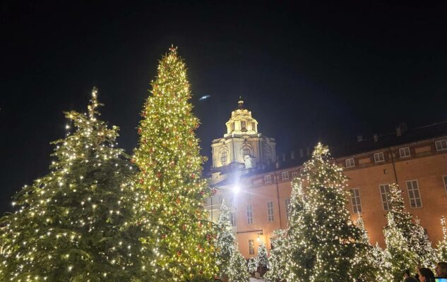 L’Albero di Natale 2025 di Torino: ritorna il boschetto di abeti luminosi
