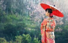 Matsuri 2025: torna a Torino il Festival Giapponese tra arte, sport e piatti tipici