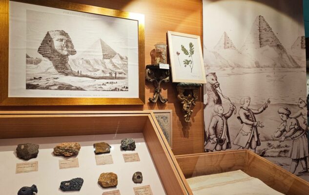Museo Regionale di Scienze Naturali di Torino: ingresso gratuito ad Agosto 2025