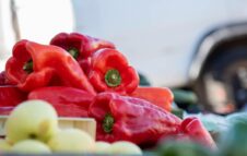 Sagra del Peperone a Motta di Costigliole d’Asti: un lungo weekend di sapori piemontesi