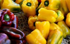 Sagra del Peperone a Frassineto Po 2025: gusto, tradizione e musica anni ’90