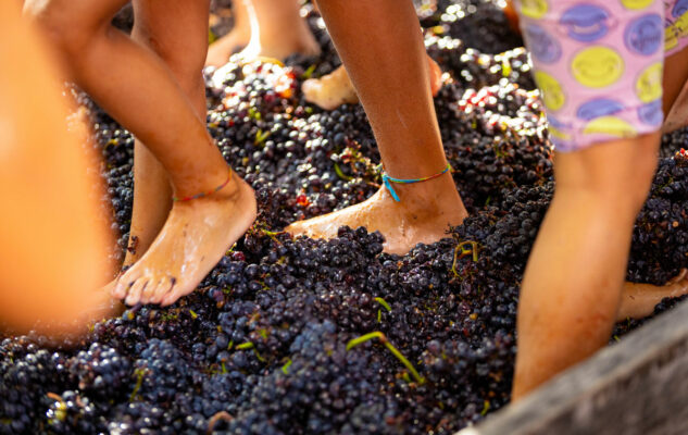 Festa della Vendemmia 2025 a Serralunga d’Alba