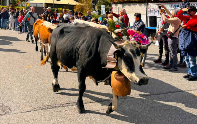 Festa della Transumanza e degli Orti di Montagna 2025 a Usseglio