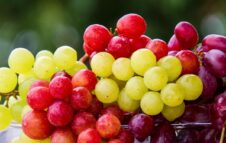 Festa dell'Uva a Castellamonte: musica, tradizione e sapori di Settembre