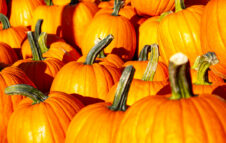 La Fiera della Zucca 2025 torna a Piea con piatti tipici, concerti e il cabaret di Flavio Oreglio