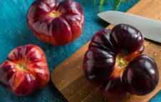 Sagra del Pomodoro Costoluto di Cambiano: una domenica di tradizioni e sapori