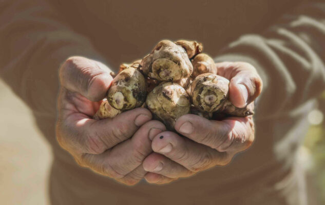 Sagra Regionale del Ciapinabò 2025 a Carignano