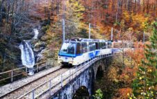 Treno del Foliage 2025: viaggio panoramico tra le mille sfumature dell'autunno