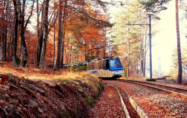 Cosa fare in Piemonte nel weekend dell’11 e 12 Ottobre 2025