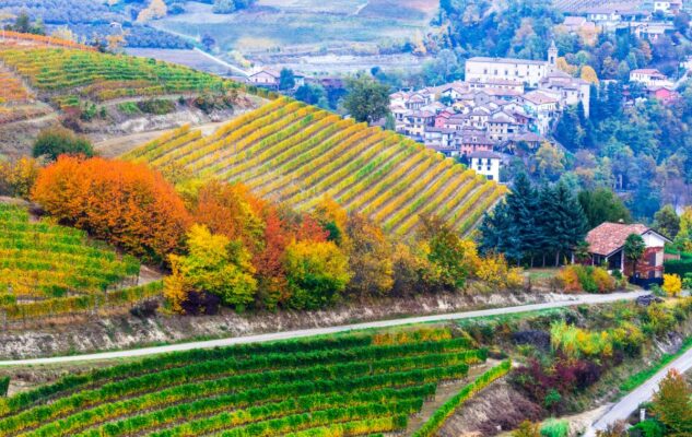 Cosa fare in Piemonte nel weekend del 18 e 19 Ottobre 2025