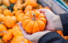 Festa d’Autunno a Cit Turin: tradizione e gusto tra vie e piazze
