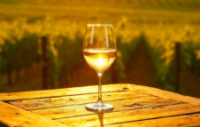 La Fiera del Rapulé 2025 torna a Calosso per un weekend di vini e sapori d’autunno