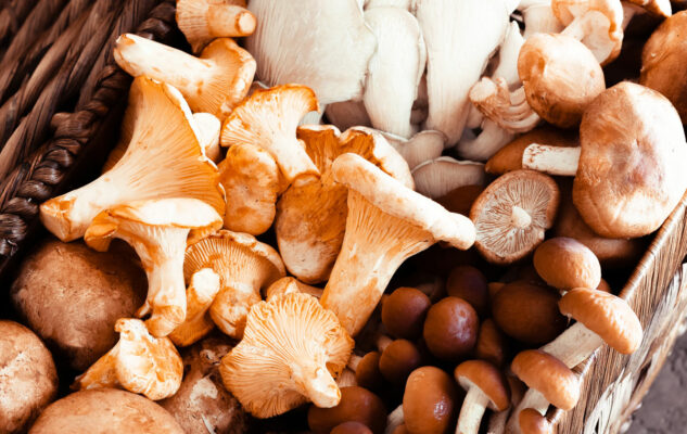 Fiera di San Simone 2025 a Bubbio