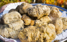 Fiera del Tartufo Bianco del Monferrato torna a Montechiaro d’Asti