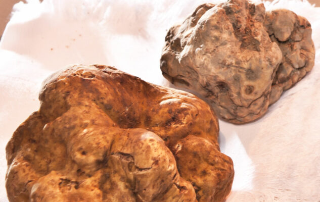 Fiera Regionale “Tufo & Tartufo” 2025 a Odolengo Piccolo