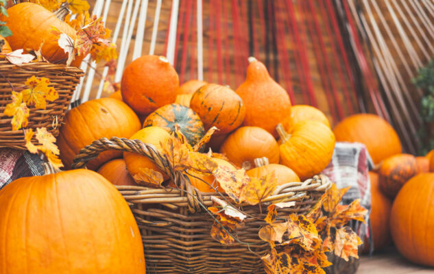 Fiera Regionale della Zucca 2025 a Piozzo