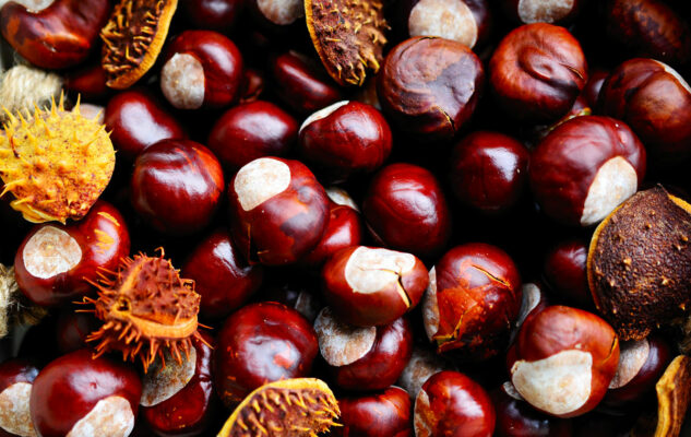 Sagra delle Castagne 2025 a Garbagna