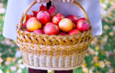 Tuttomele 2025 a Cavour: dolci, antipasti, confetture e piatti salati