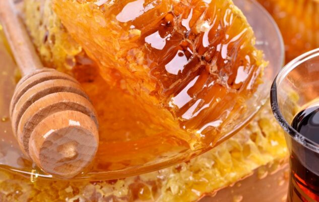 GooGreen: domenica torna a Torino il mercato della biodiversità ai Giardini Sambuy