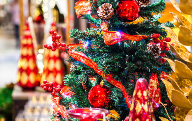 La magia del Natale 2025 a Pinerolo