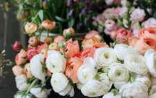 Il Mercatino dei Fiori torna domenica a Torino: fiori e produzioni agricole in piazza