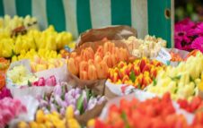 Florì 2026 a Moncalieri: due giorni di fiori, piante e produzioni locali in piazza