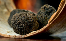 La Festa e mostra del Tartufo Nero 2026 torna a Scagnello per la sua ventitreesima edizione