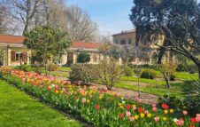 Torna il Mercatino delle Piante all’Orto Botanico di Torino tra orchidee e piante rare