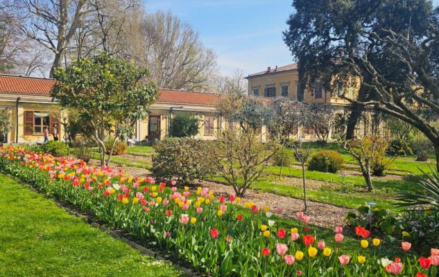 Mercatino delle Piante all’Orto Botanico di Torino 2026