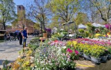 Ortoflora & Natura 2026: torna a Carmagnola la grande mostra mercato a ingresso gratuito