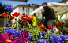 AgriFLOR: il mercatino dei fiori torna domenica in piazza a Torino