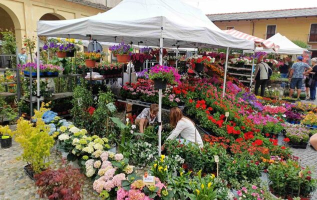 Cavour in Fiore 2026