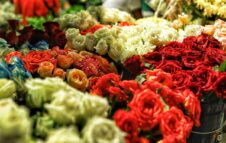 Fiorile 2026: a Moncalieri torna l'evento gratuito tra fiori, orti e piante