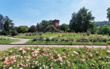 FLOR Primavera 2026 a Torino: il grande evento floreale torna al Valentino (Ingresso Gratuito)