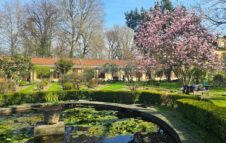 Il Mercatino delle Piante torna all’Orto Botanico di Torino tra orchidee e piante rare