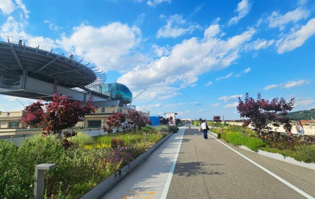 Cosa fare a Torino questa settimana? Gli eventi dall'11 al 17 Maggio