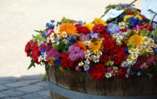 Fiori & Vini 2026 a Carignano: un weekend di fiori, degustazioni e street food