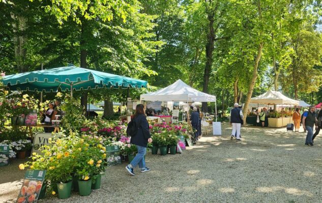 mercatini del weekend a Torino 23 24 maggio 2026