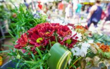 Domenica torna il Mercatino dei Fiori in piazza tra piante, fiori e sapori del territorio