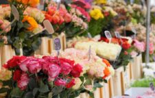 Rivarolo in Fiore 2026: mostra mercato di fiori, piante ed erbe per una domenica fuori Torino