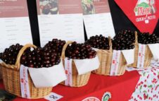 Domenica torna la Festa delle Ciliegie a Pecetto: tradizioni e gusto sulla collina di Torino