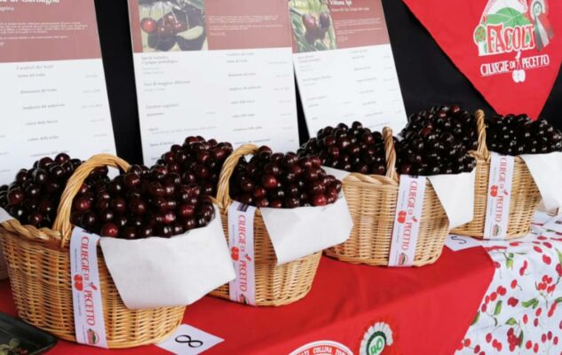 Domenica torna la Festa delle Ciliegie a Pecetto 2026