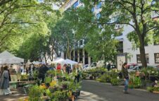 Marconi Boulevard a Torino: vintage, artigianato e cultura nell’area pedonale di Corso Marconi