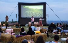 Cinema in Vigna: una serata tra i filari con picnic, food truck e degustazioni di vini