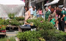 Torna FLOR Estate 2026: una giornata tra fiori, piante, sapori e degustazione di genepy
