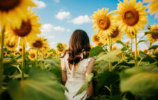 Apre il Labirinto di Girasoli in Piemonte: un percorso tra colori, natura e scorci da fotografare